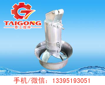 不銹鋼潛水?dāng)嚢铏C(jī) QJ.jpg